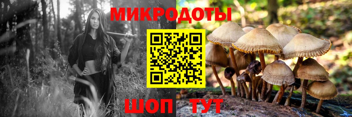 Псилоцибиновые грибы Psilocybe  Галлюциногенные грибы мицелий  Вход с VPN  Кызыл 